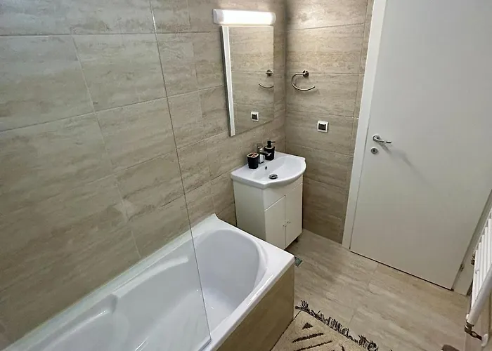 Apartment Romanescu Park Craiova